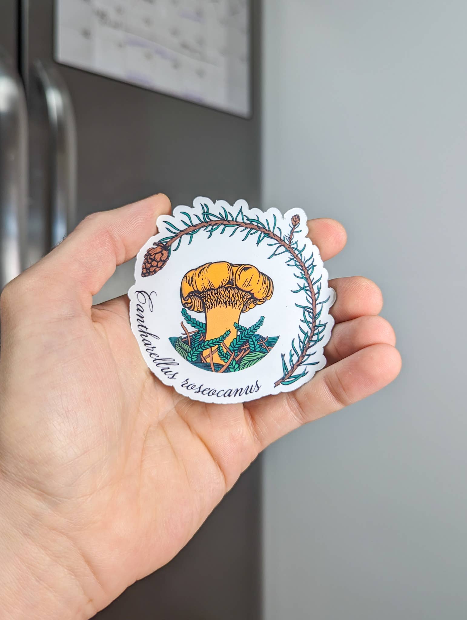 Mushroom Marauder - Venta al por mayor Imanes - Cantharellus roseocanus | Imán realista en forma de hongo0