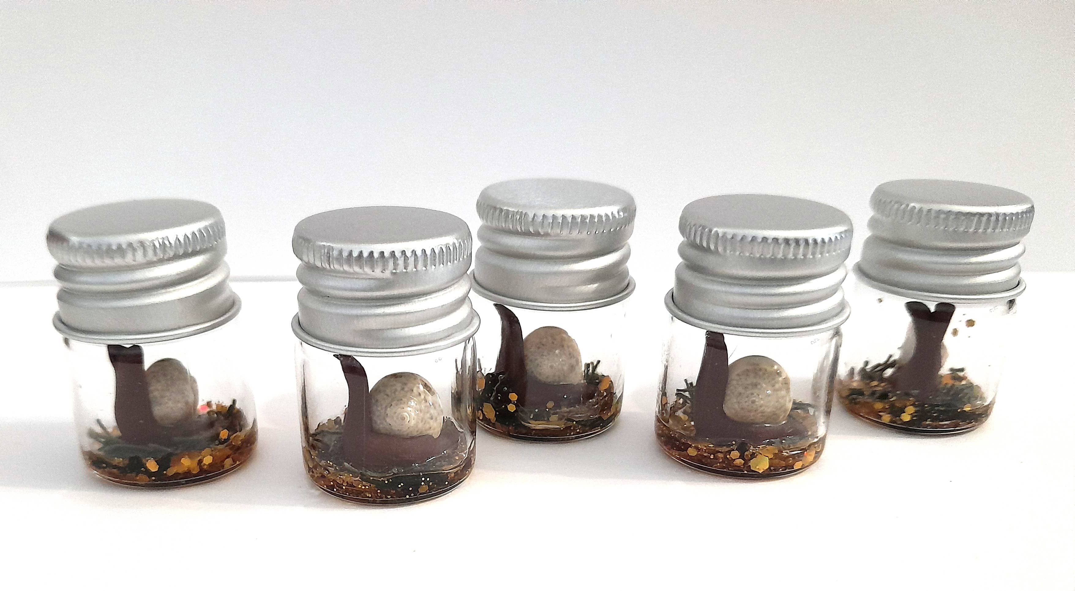 SUPERAWWWSOME - Wholesale Gag Gift/Novelty Gift - Snail Specimen Bottle, Dollhouse Miniature, nature gift jar4
