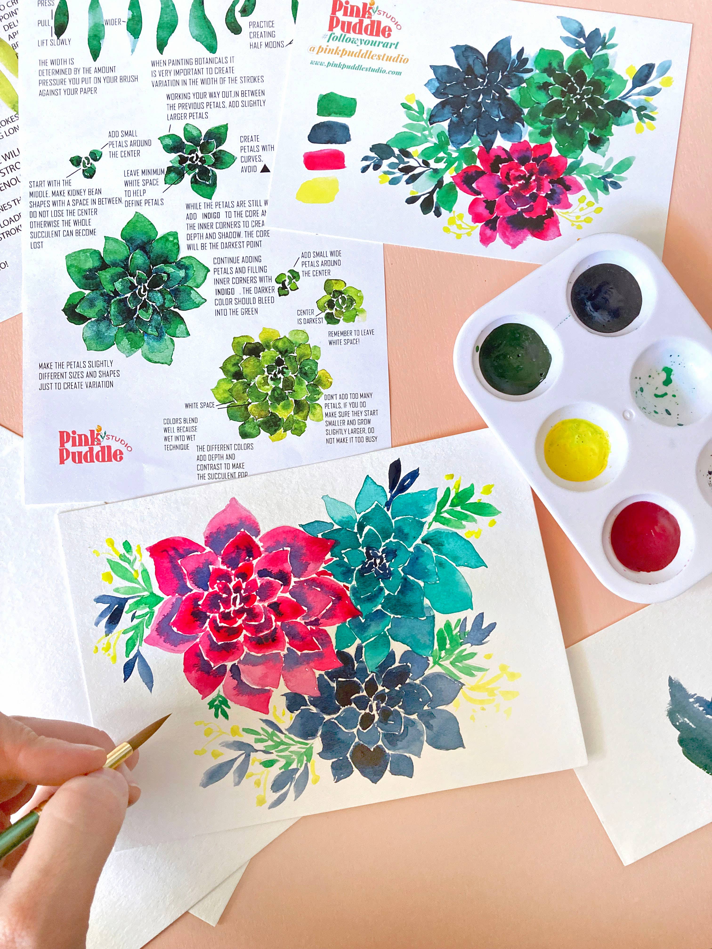 Pink Puddle Studio - Wholesale DIY Craft Kit - Succulent Painting DIY Watercolor Craft Kit1