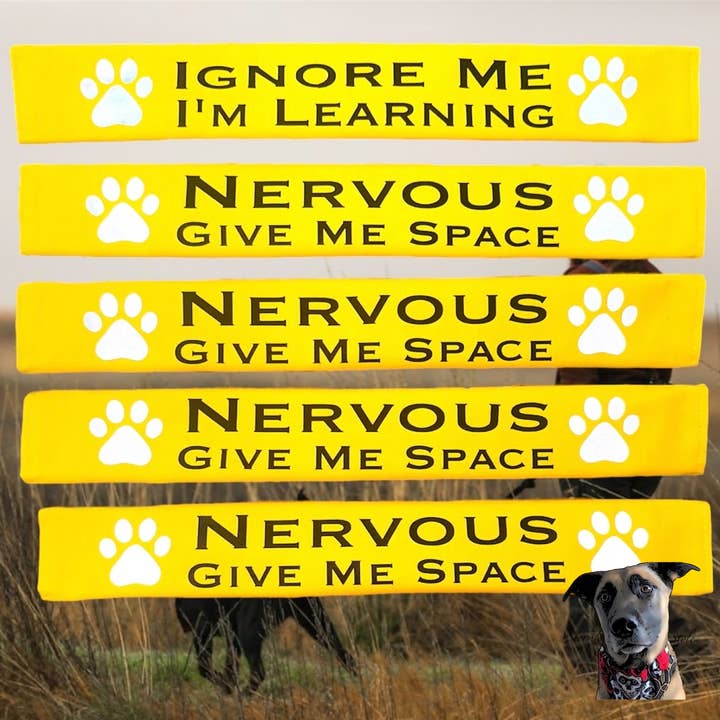 Storms Style - Wholesale Pet Leash - Dog - Lead Slips - Reactive, Nervous, Blind, Deaf, Friendly