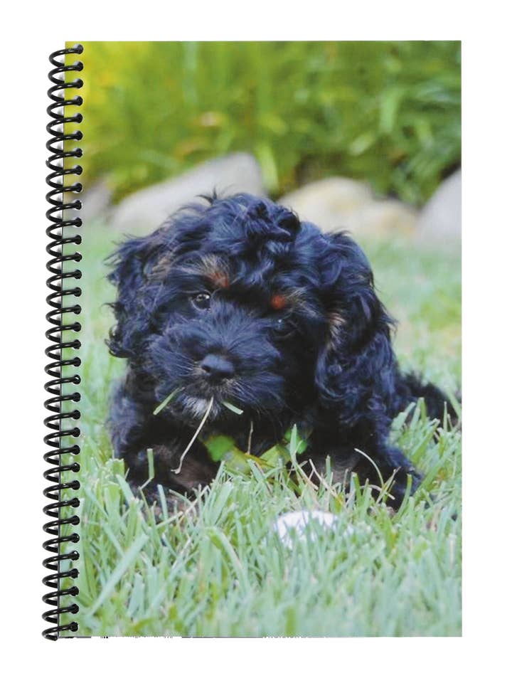 The Superior Check and Debit Card Register - Puppy for wholesale by The Superior Register