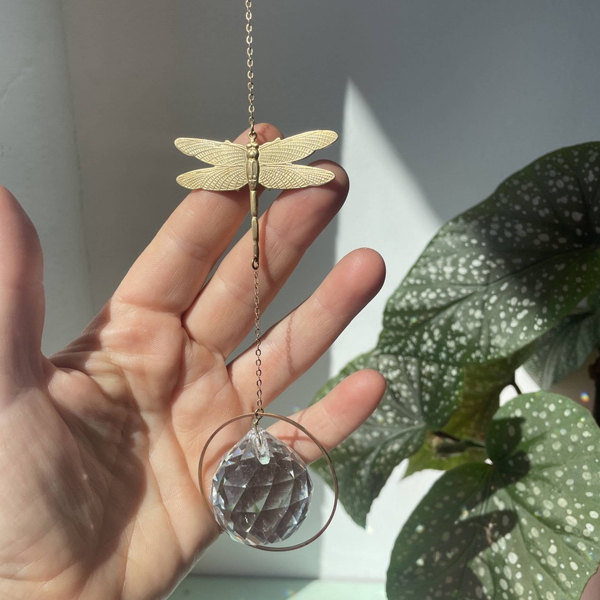 von Lani = Jewellry + Suncatchers - Wholesale Suncatcher - Sun catcher dragonfly, light catcher, sun crystal, prism2