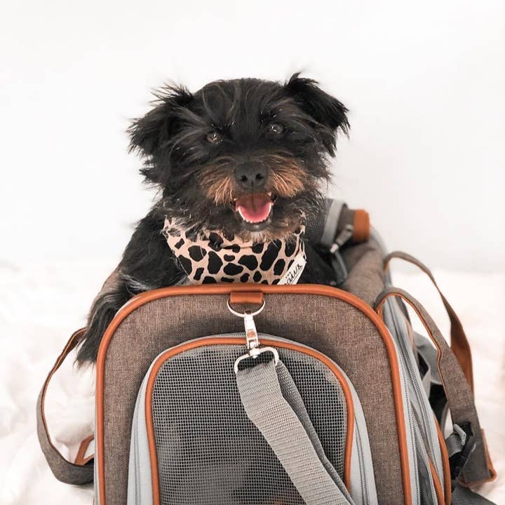 Mr. Peanut's - Wholesale Pet carrier – Cat/dog - Mr. Peanut's Gold Series Standard Size Airline Compliant Pet Carrier12