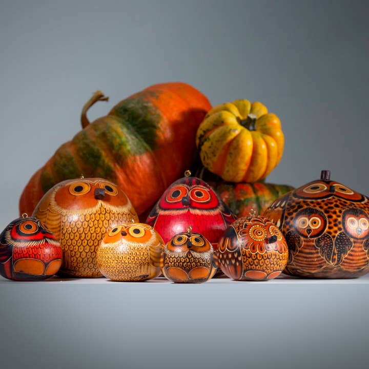 Lucuma Designs - Wholesale Ornament Set - Owls Mini Mix- Gourd Ornament - Fair Trade Gift