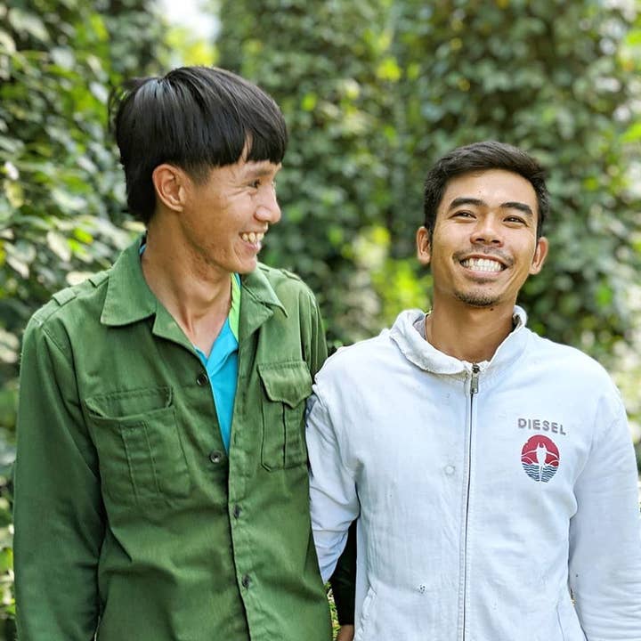 Burlap & Barrel - Wholesale Pepper/Peppercorns - Robusta Black Peppercorns - Single Origin Spice & Seasoning2