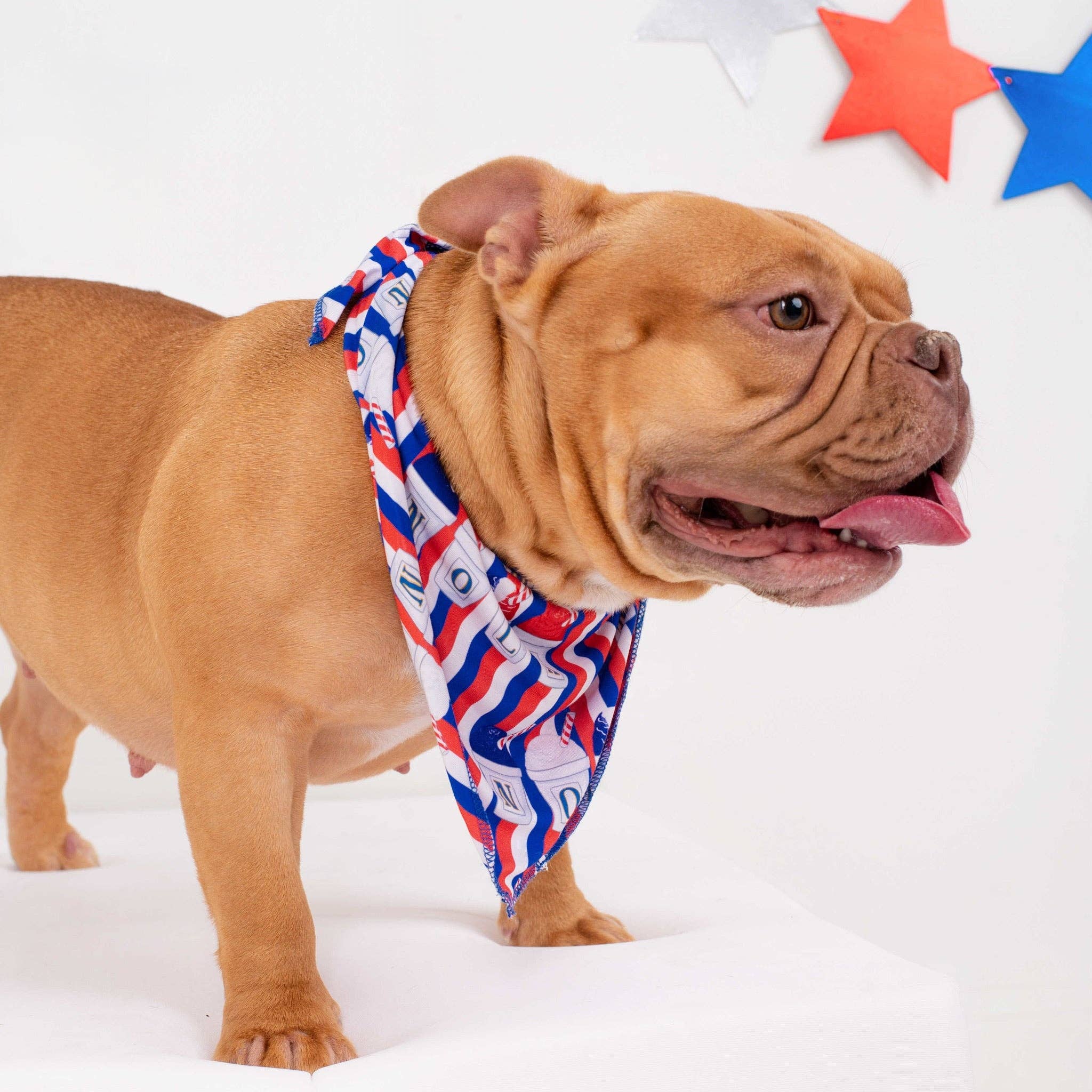 Pearls & Pelicans - Wholesale Pet Bandana - Dog - Red, White, and Sno-Balls Pet Bandana3