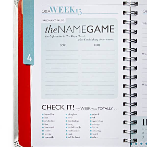 Wry Baby - Wholesale Journal/Diary - Maternity - The Nine, A Pregnancy Countdown Journal | Maternity Book