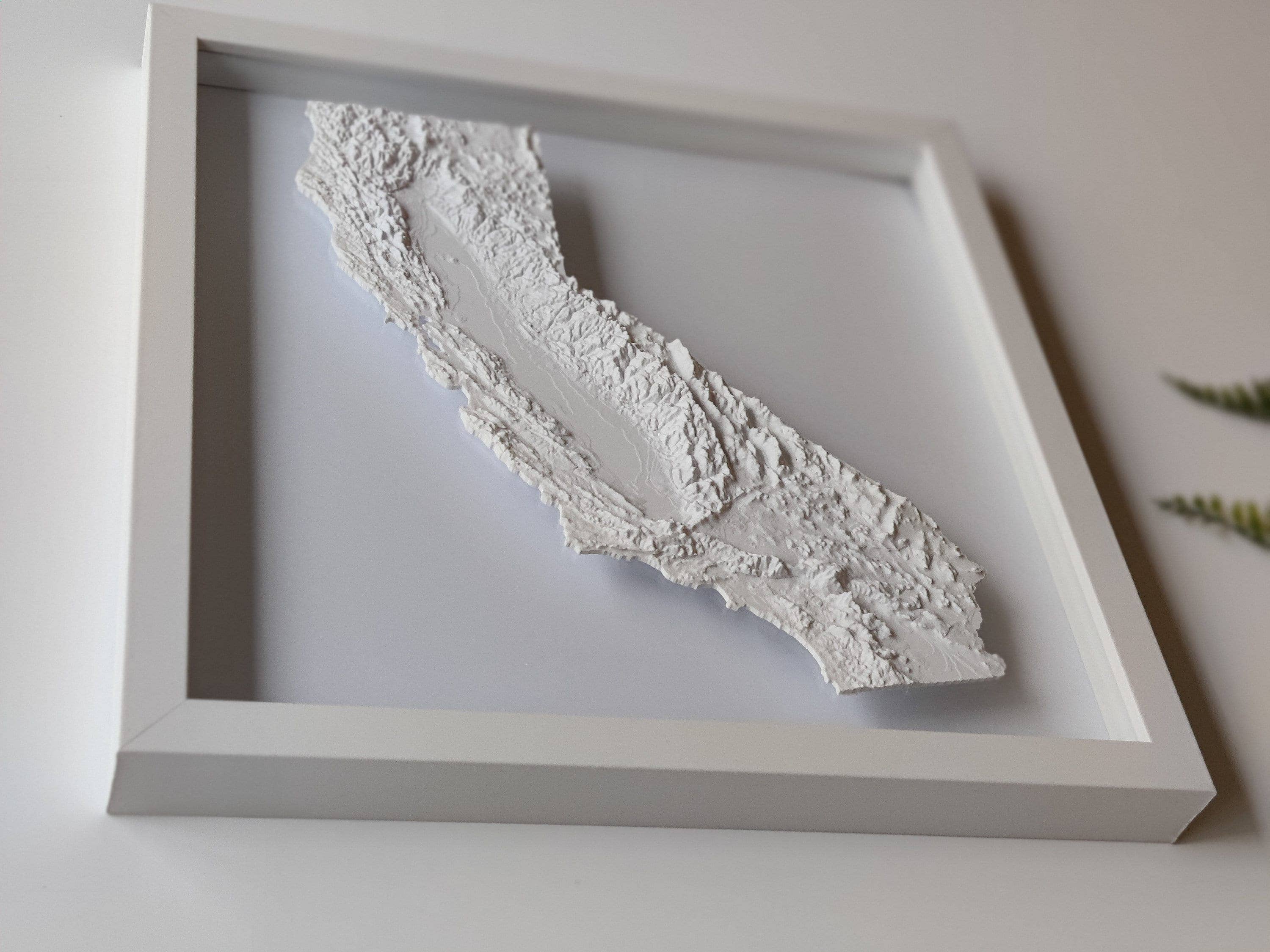 Micropolitan - Wholesale Wall Accent - California 3D Topographic Map | 3D Map Framed Wall Art7