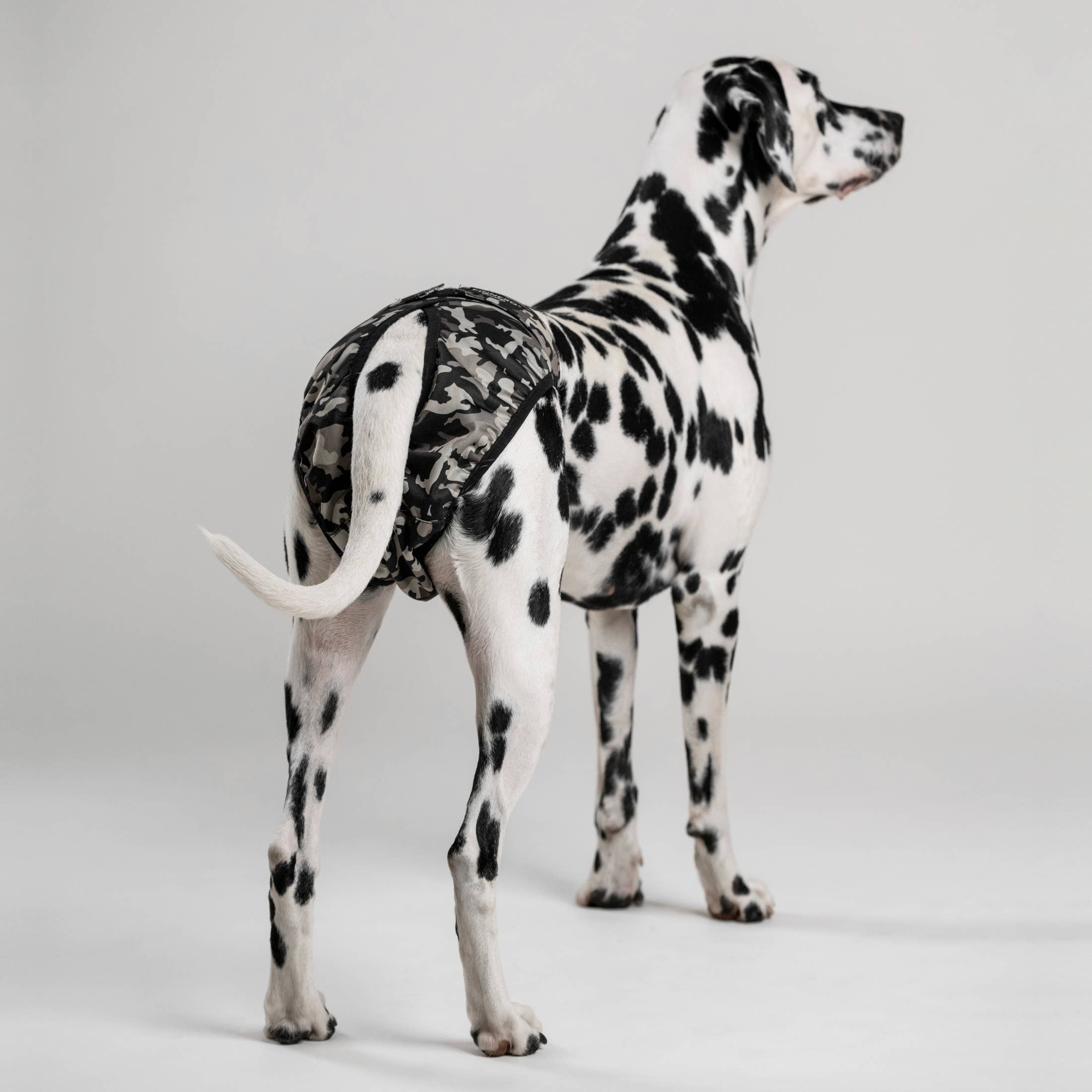 FINNERO - Wholesale Pet Diaper - Dog - FINNERO BRENDA Dog Hygiene pants, 3 colors, Washable Diaper8