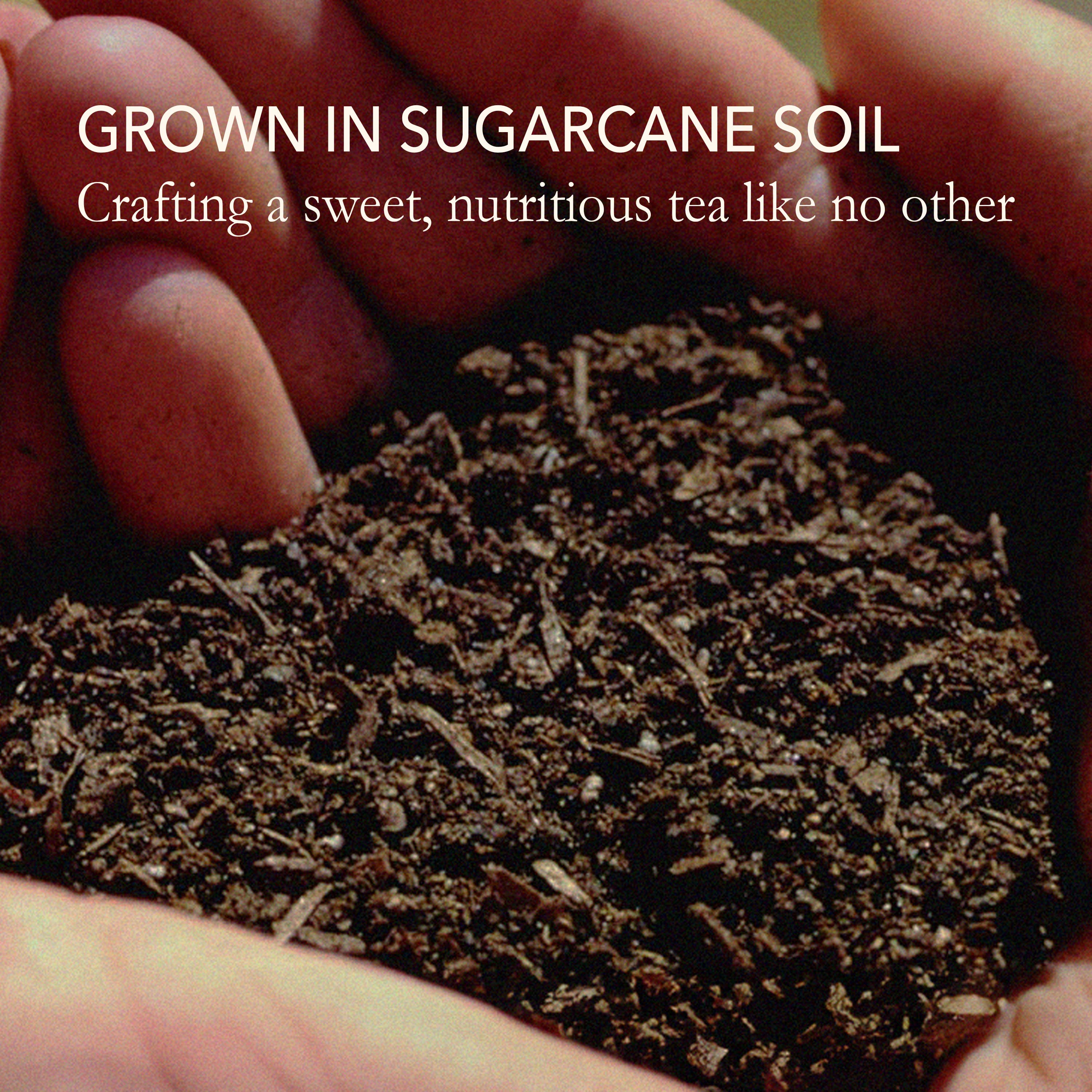 Japanese Green Tea Co. – Engroshandel Sundheds-/detox-te – Matcha Genmai-cha - Premium japansk grøn te (7 oz)8