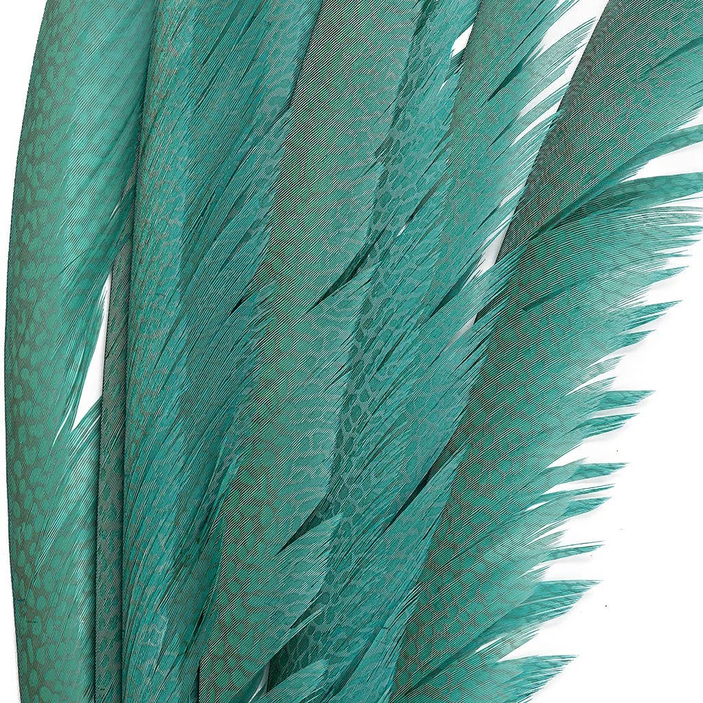 Zucker Feather Products - Vente Plume - Queues centrales de faisan doré teintées en argent Dunn Blue8