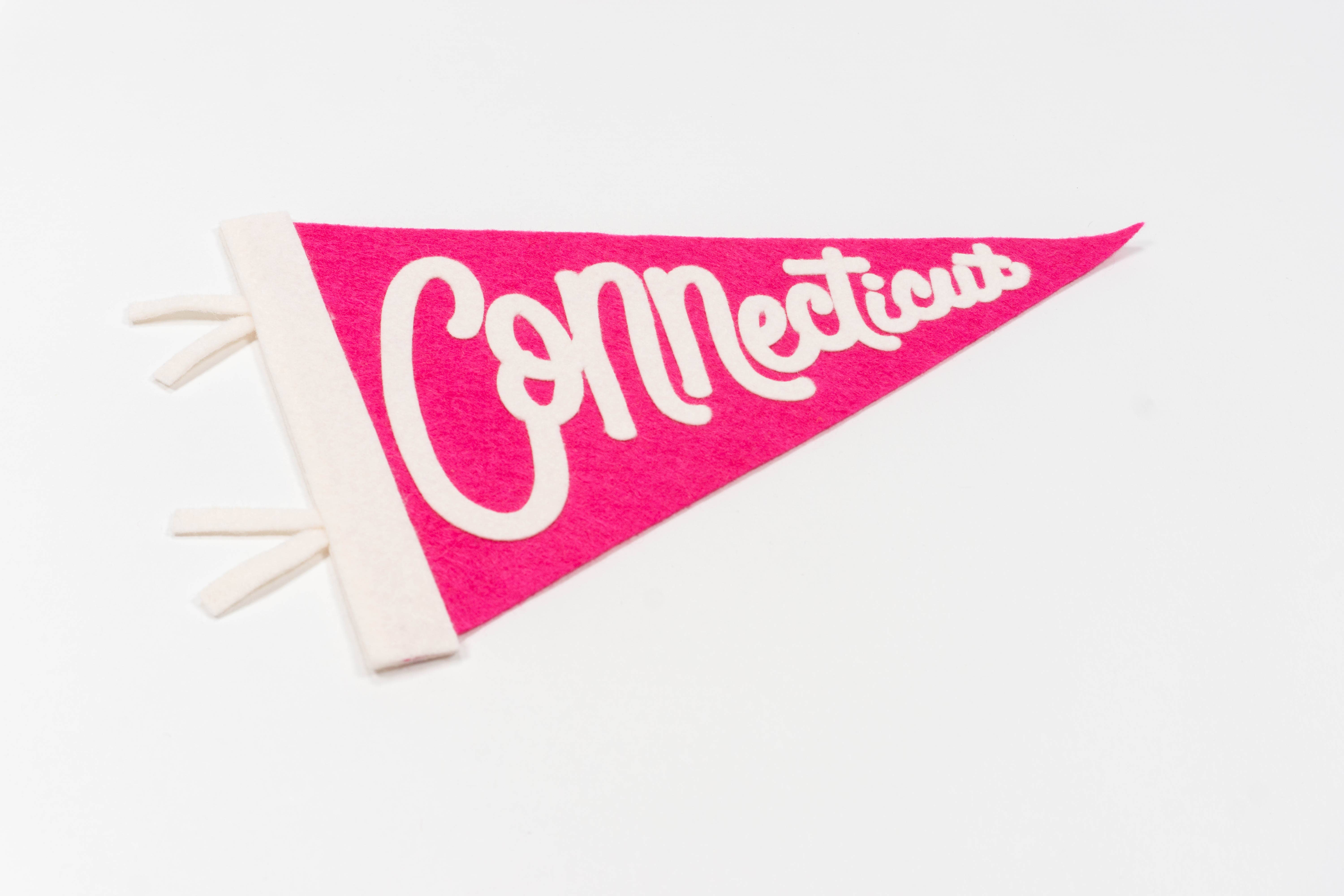 traveldashery - Wholesale Banner - connecticut pennant24