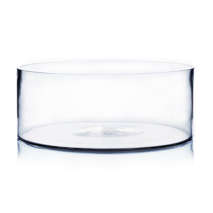 WGV Clear Cylinder Glass Vase - 10" x 4"H for wholesale by WGV International