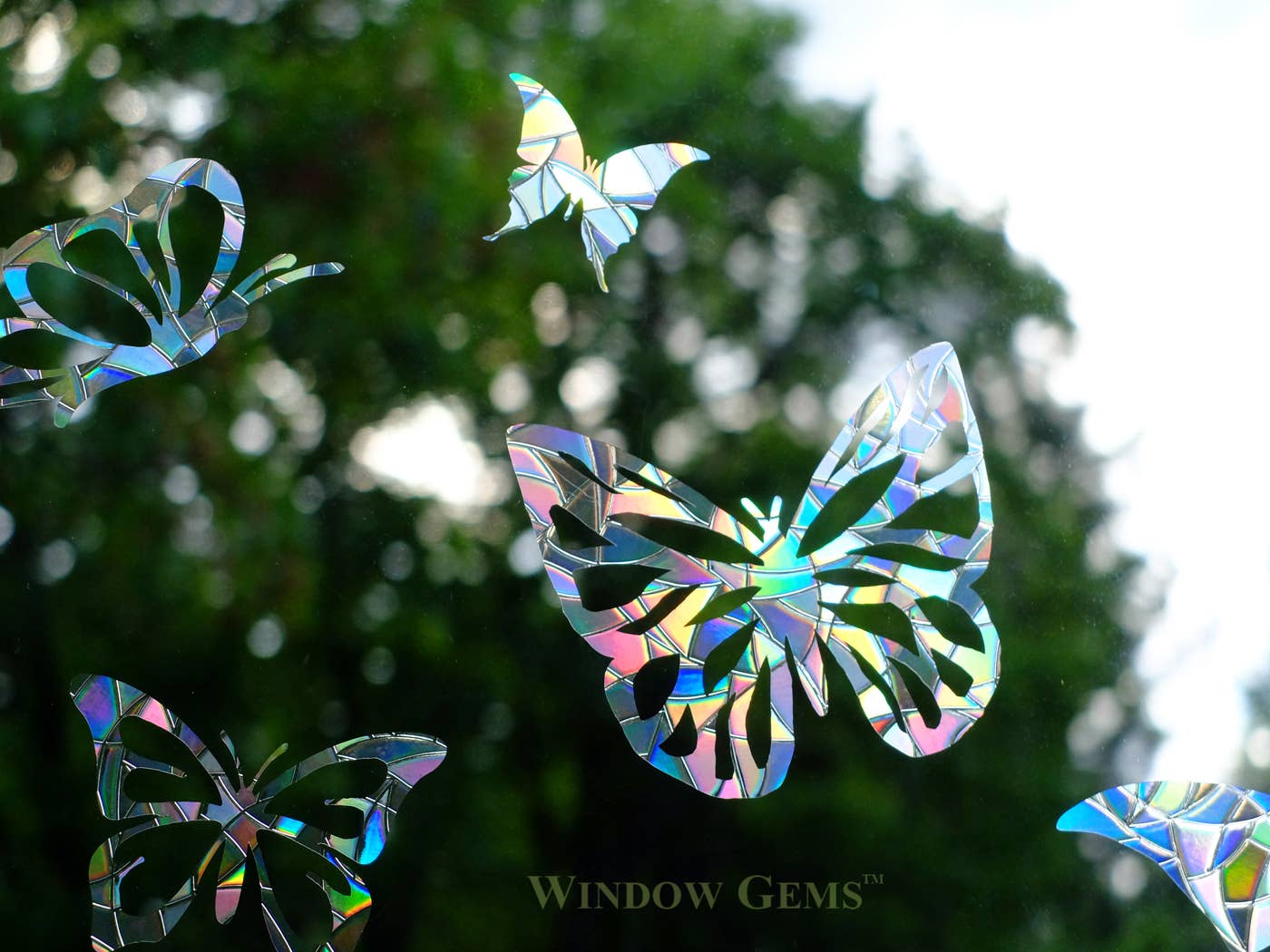 Window Gems - Wholesale Suncatcher - Butterfly Window Clings - prismatic decals - protect birds3