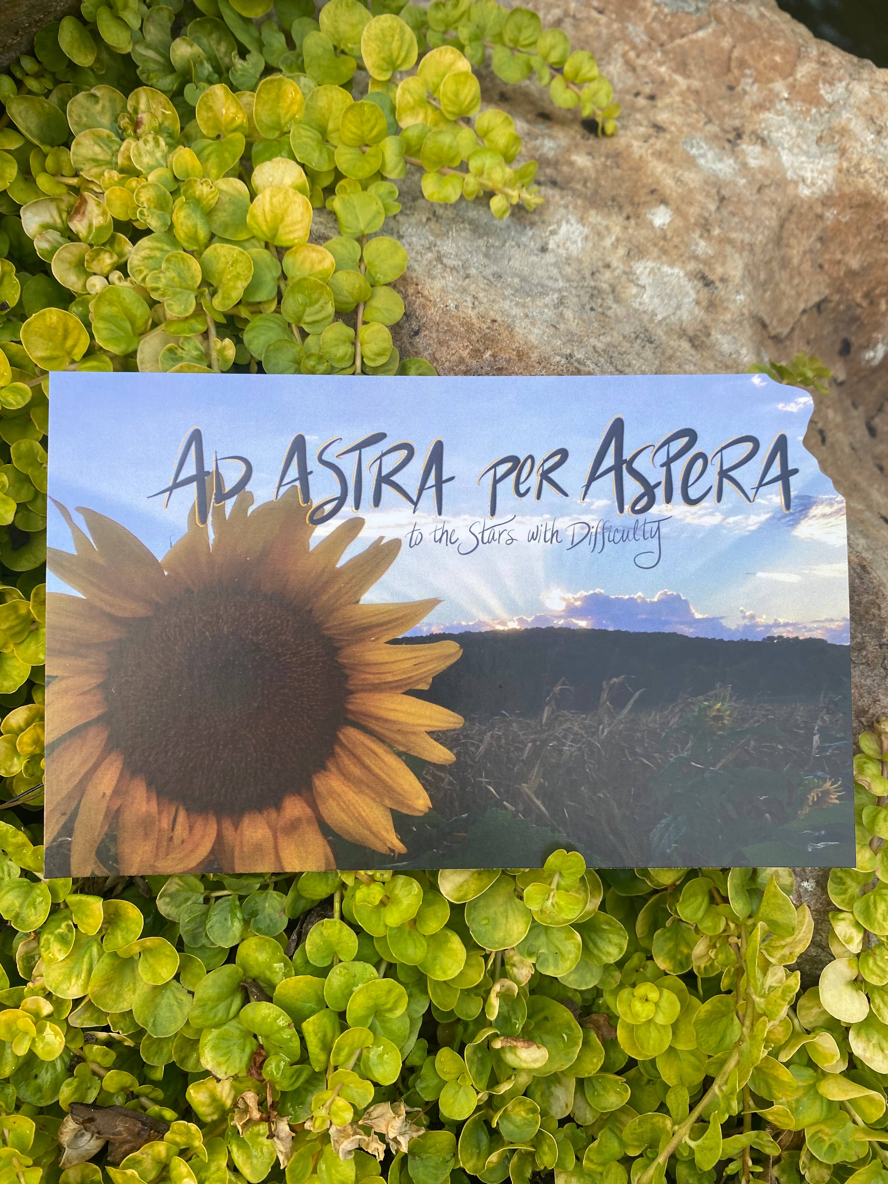Something Beautiful - Wholesale Postcard - Ad Astra per Aspera Kansas Postcard5