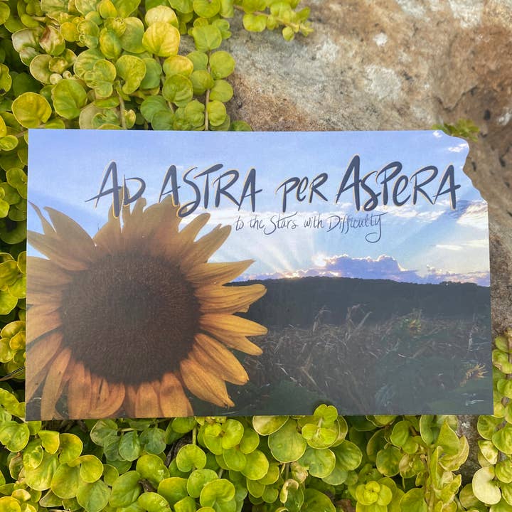 Something Beautiful - Wholesale Postcard - Ad Astra per Aspera Kansas Postcard5