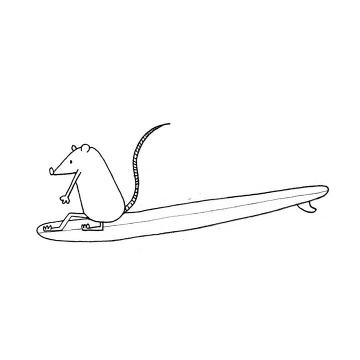 Postal / Diego for wholesale by MargeaOrganic