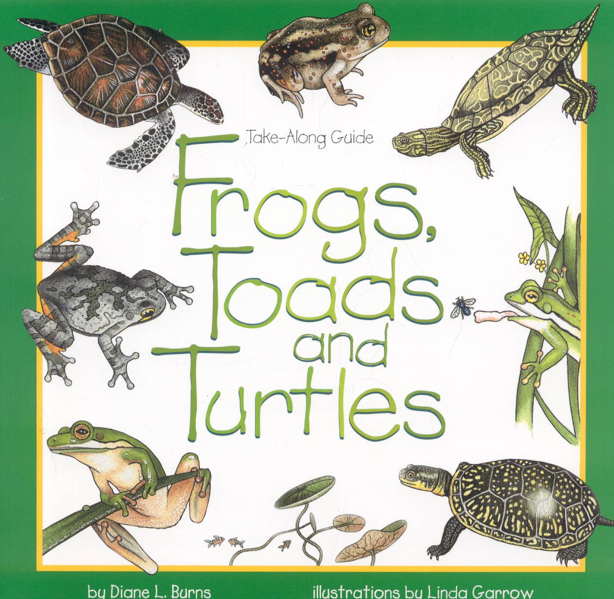 REMOVED BRAND - Wholesale Nature & Outdoors - Frogs, Toads & Turtles: Take Along Guide0