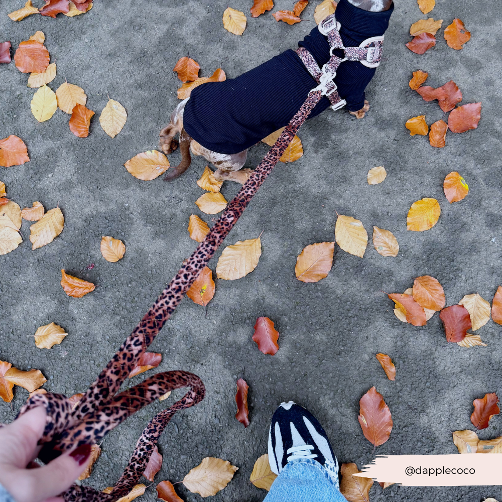 Cocopup London - Wholesale Pet Leash - Dog - Quilted Leopard Pup Lead8