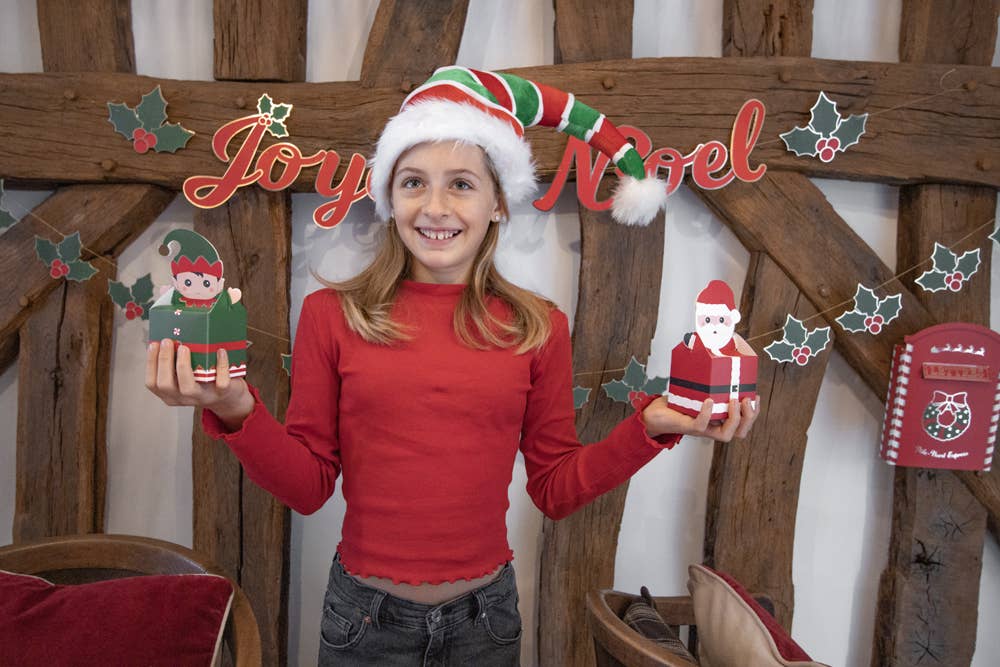 Tim&Puce Factory - Wholesale Christmas Decoration - SMALL SWEETY XMAS X4 BOXES5