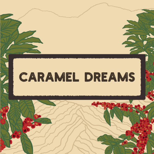 Dark Canyon Coffee Company - Wholesale Ground Coffee - Caramel Dreams Flavored Coffee, Regular, 8oz Case of 100