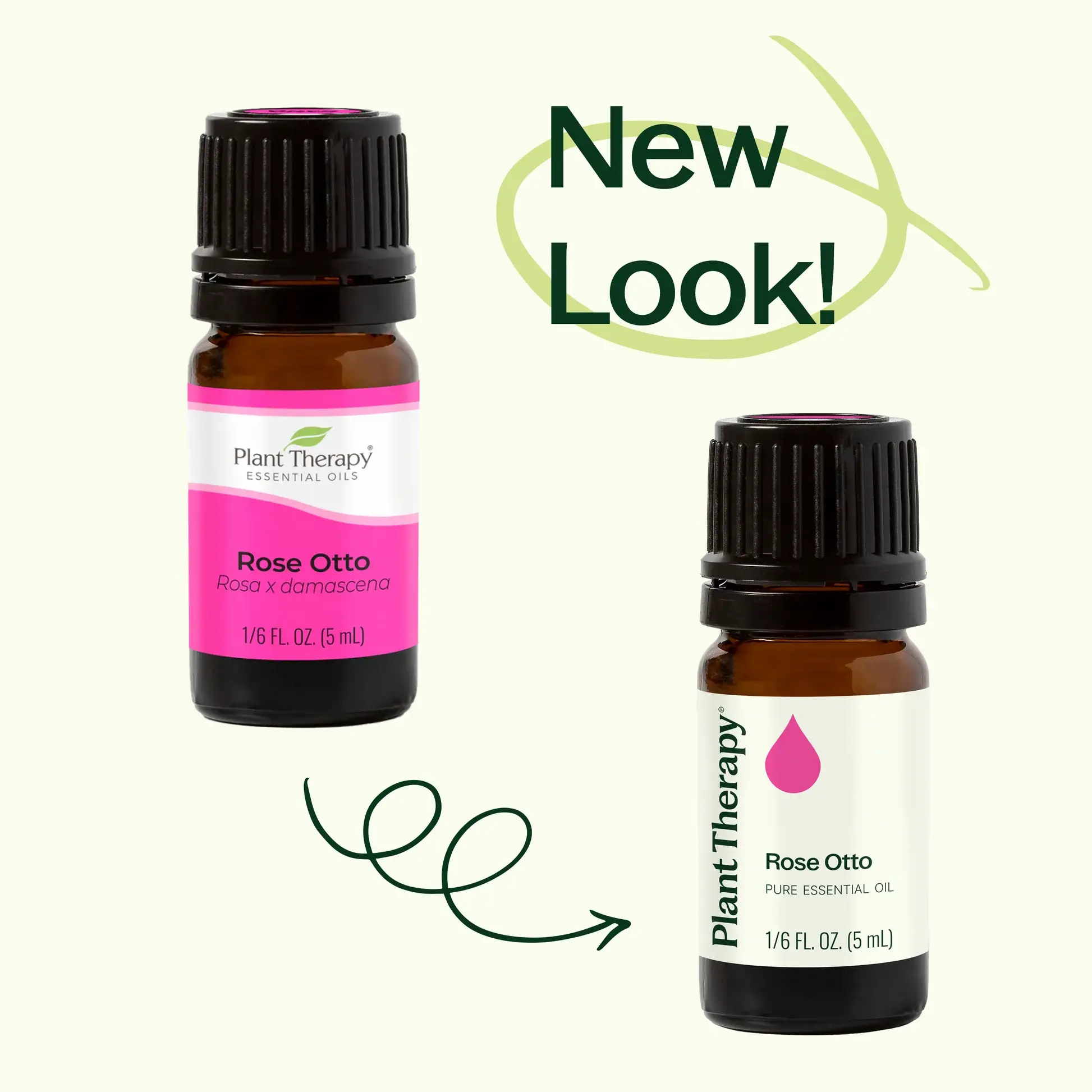 Plant Therapy - Wholesale Essential Oil - Rose Otto Essential Oil 5 mL1