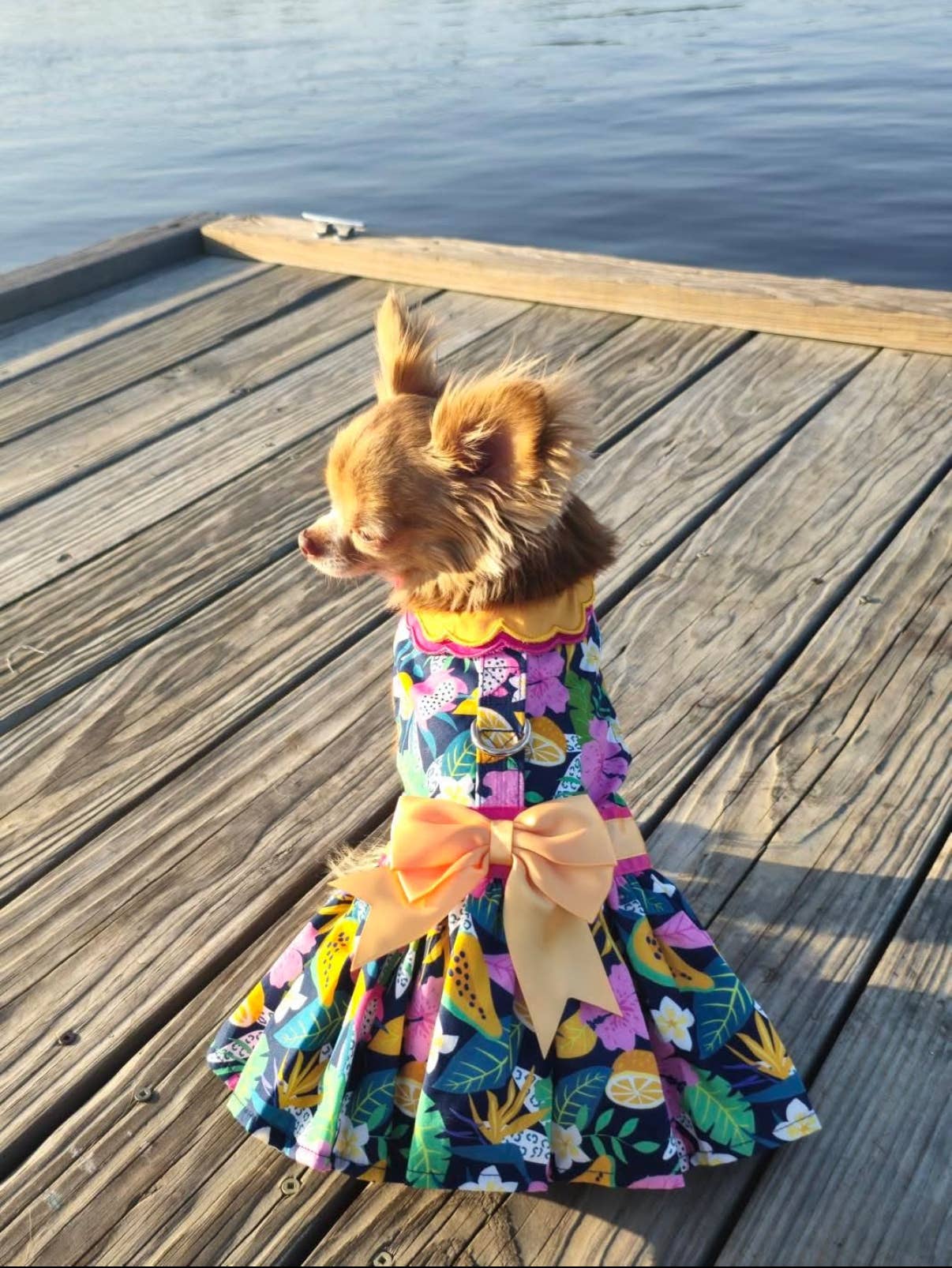 Doggie Design – vestido - Cão por atacado – Vestido Floral para Cão Fiesta com Trela a Condizer4