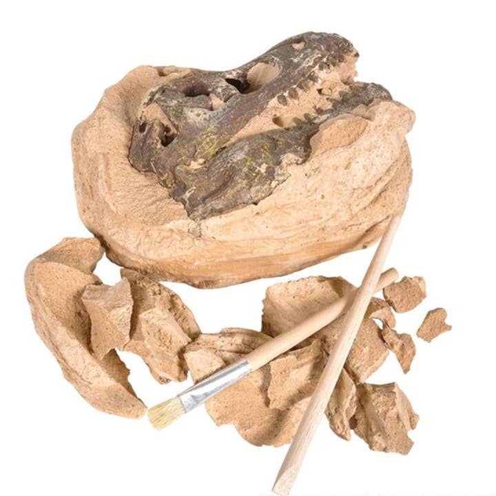 Jouets pour enfants T-REX SKULL EXCAVATION LLB 6,5 pouces pour la vente par La Luna Bella - Toys