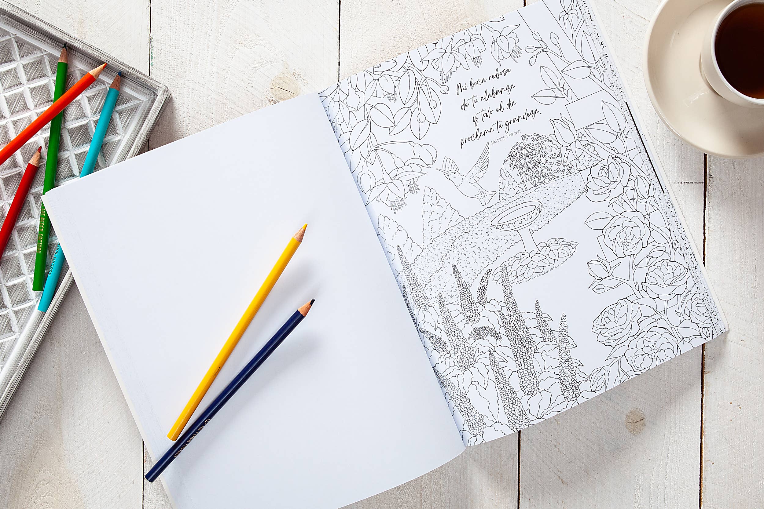 BroadStreet Publishing Group, LLC - Wholesale Coloring & Activity Book - Adult - Los Salmos más queridos (Spanish coloring book)1