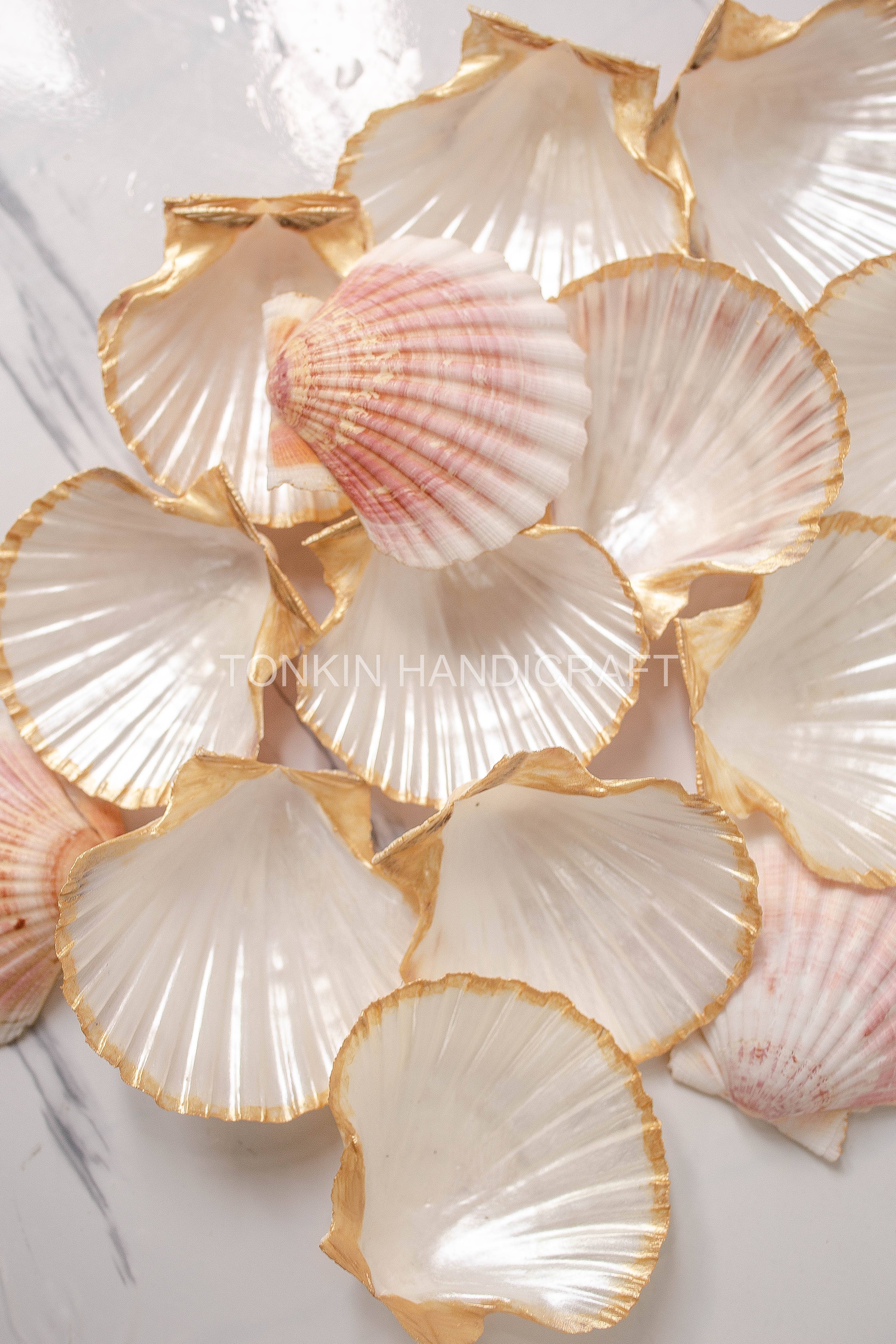 Tonkin Handicraft - Wholesale Jewelry Dish - Scallop Shell Ring Dish 31