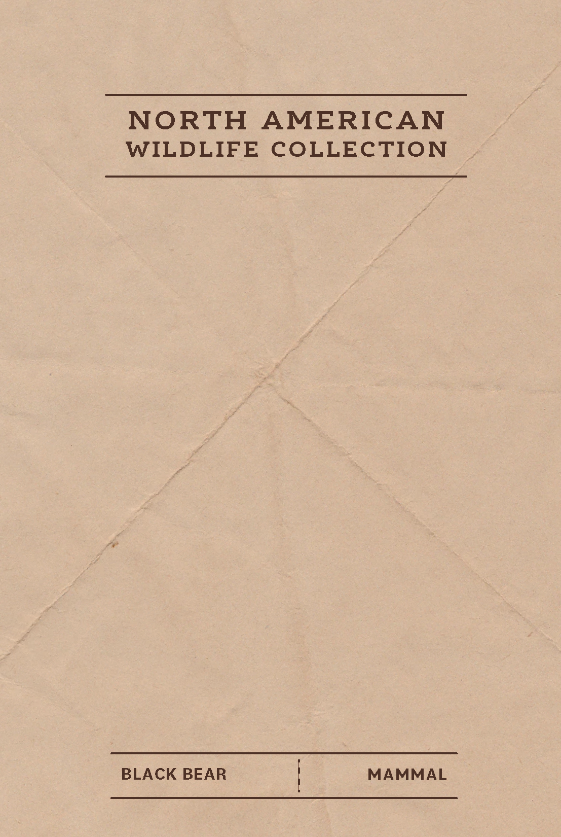 Adventure Booty - Wholesale Patch - Black Bear Felt Patch1