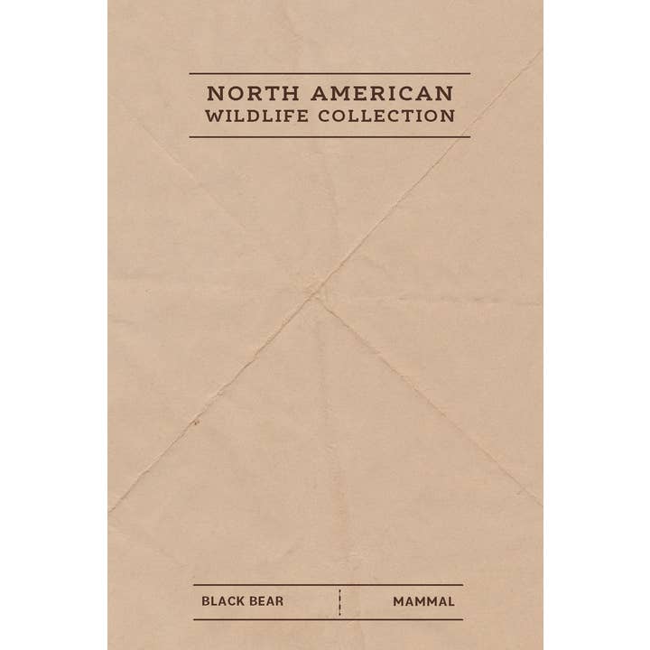 Adventure Booty - Wholesale Patch - Black Bear Felt Patch1