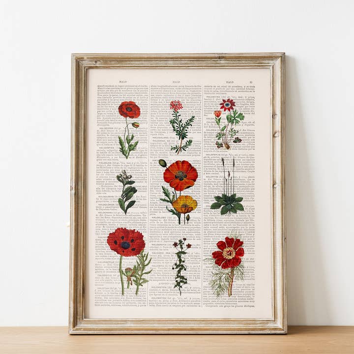 Flores silvestres rojas para venta al por mayor de PRRINT!