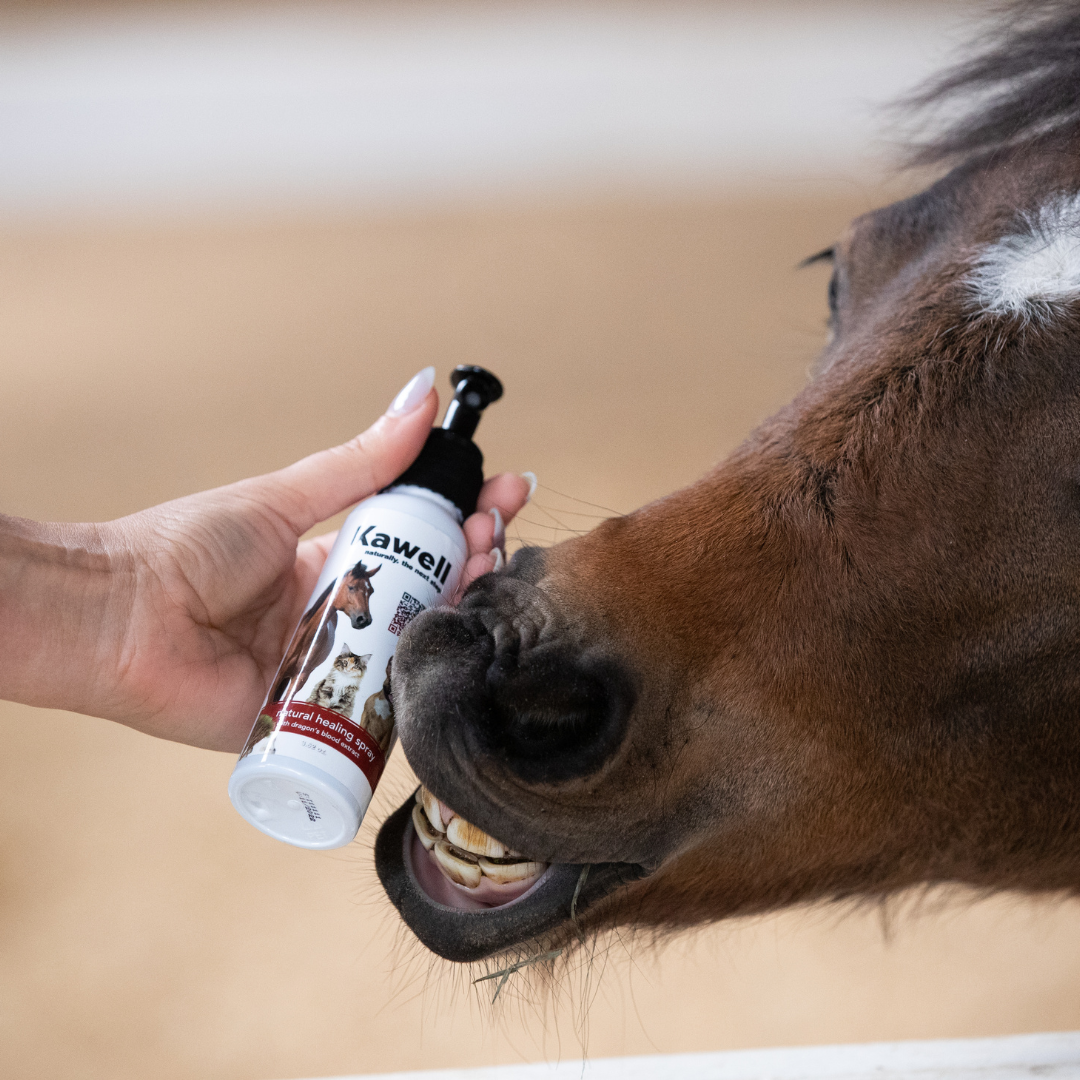 Kawell USA - Wholesale Horse Conditioner/Grooming Aid - Dragon's Blood Natural Wound Spray - For Horses3