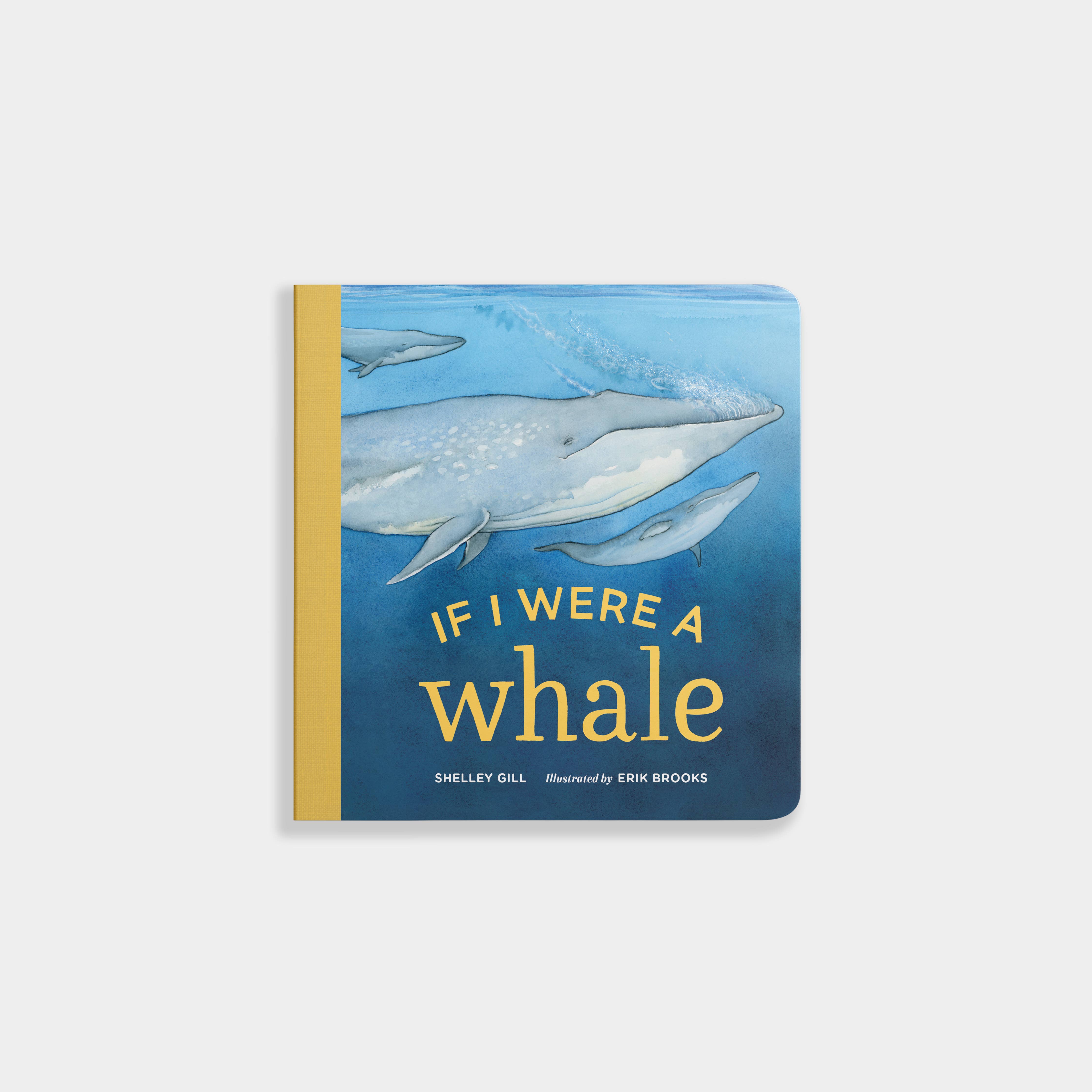 Blue Star Press - Wholesale Baby & Toddler Book (0-2) - If I Were a Whale: A Board Book for Toddlers Ages 1-30
