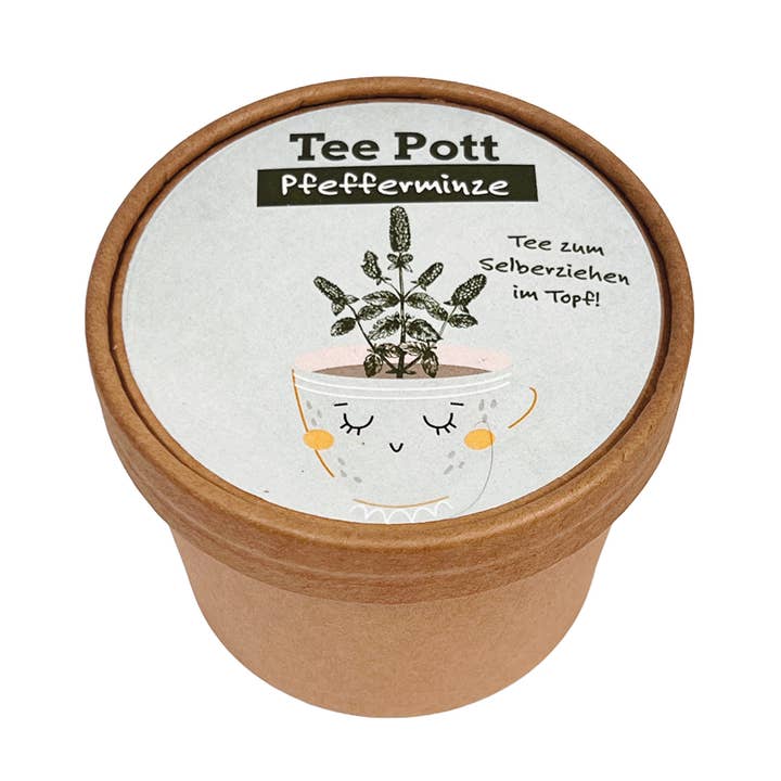 Set di coltivazione di menta piperita in teiera per la vendita all'ingrosso da parte di Wunderle GmbH