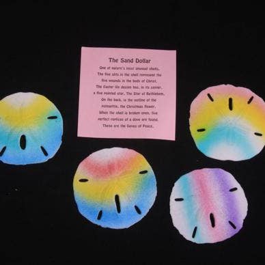 Darlene's Shells - Wholesale Decorative Tabletop Object - RAINBOW SANDDOLLAR0