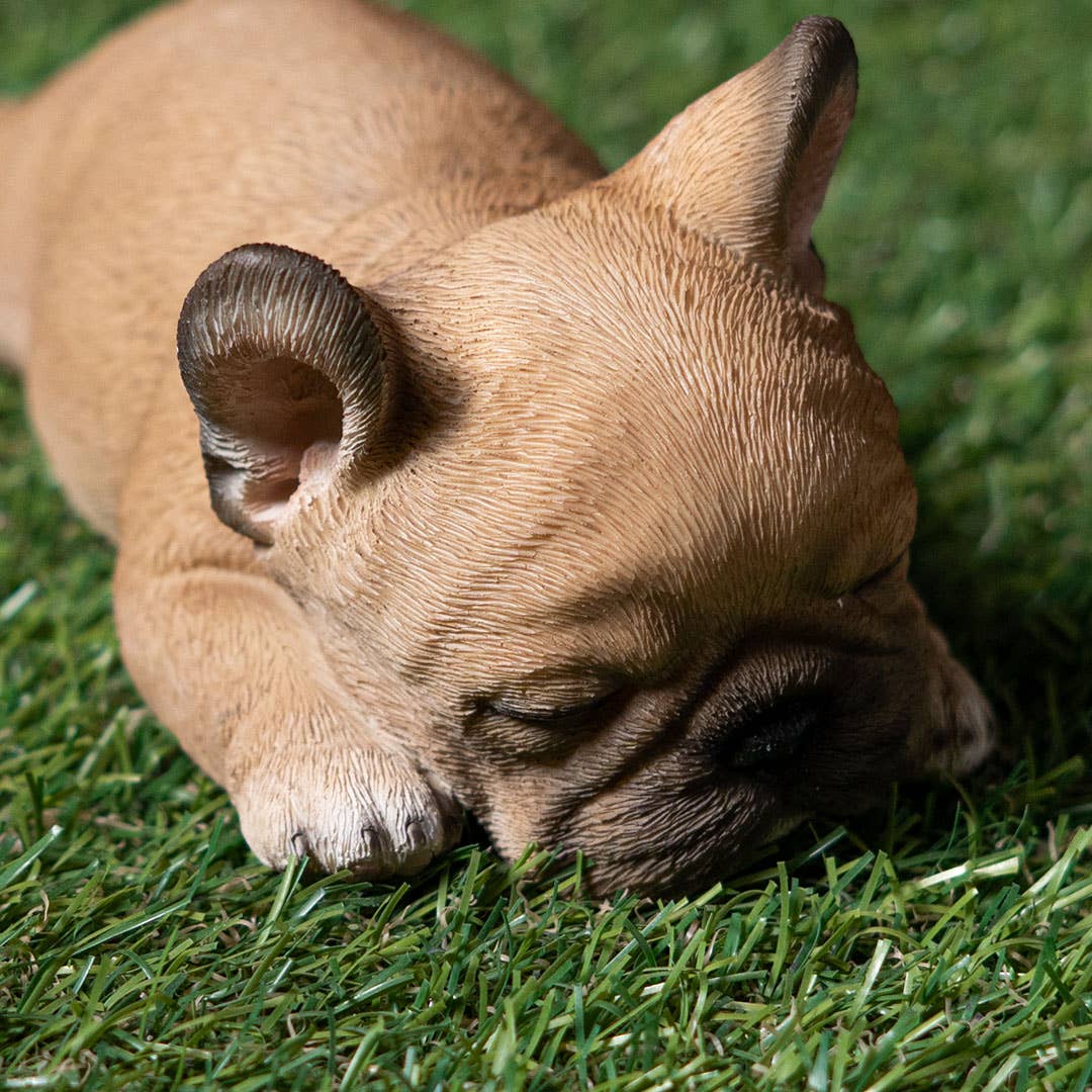 Pacific Trading - Venta al por mayor Figura decorativa - Frenchie durmiendo6
