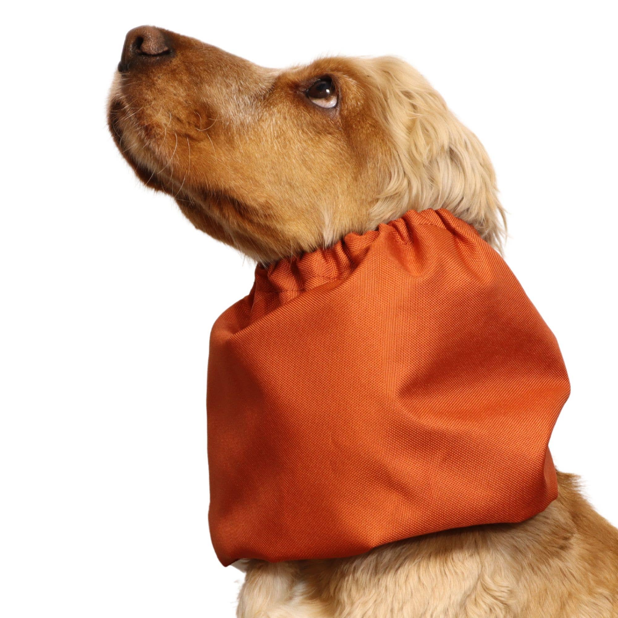 Distinguish Me - Venta al por mayor Protector de cuello para mascotas - Perros - Snood impermeable para perro | Naranja quemado3