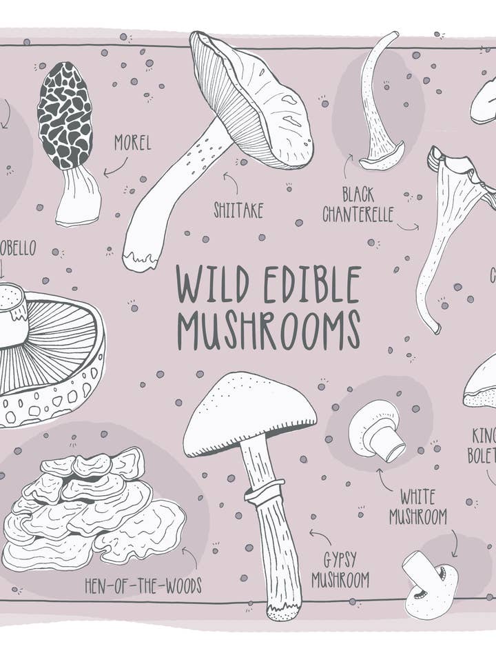 Stampa funghi commestibili selvatici per la vendita all'ingrosso da parte di Pen+Pine