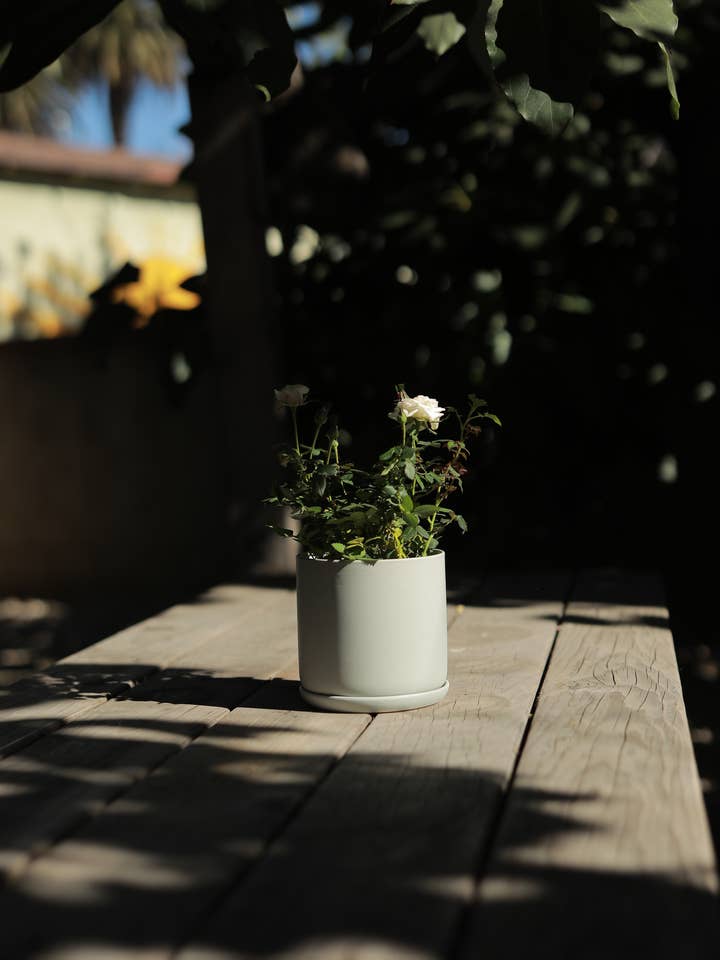 Matte Ceramic Planter with Saucer - Green for wholesale by SUNNY HOME