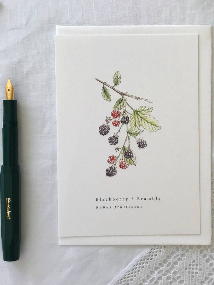 Blackberry Botanical Illustration Card for wholesale by Annie Brougham Paper Goods.