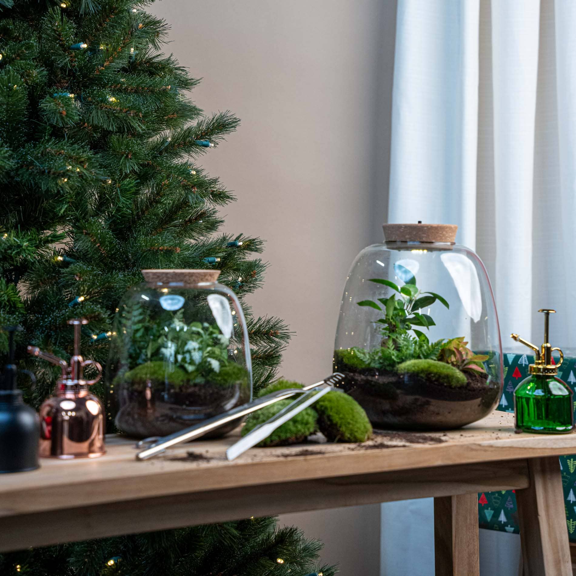 Trendhero.nl/b2b – Engroshandel Terrarium – Terrarium Emma - Ø 23 cm ↑ 25 cm - Firmagave4