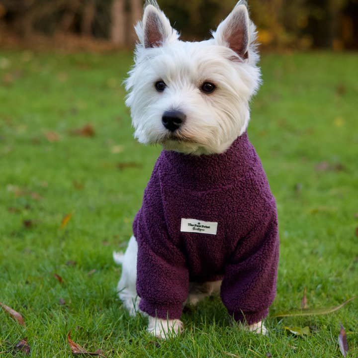 The Paw Print Boutique - Wholesale Pet Coat - Dog - Teddy Fleece - Plum12