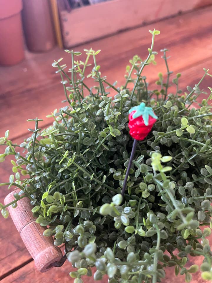 Bastoncino per pianta di fragole per la vendita all'ingrosso da parte di Annie Did It!