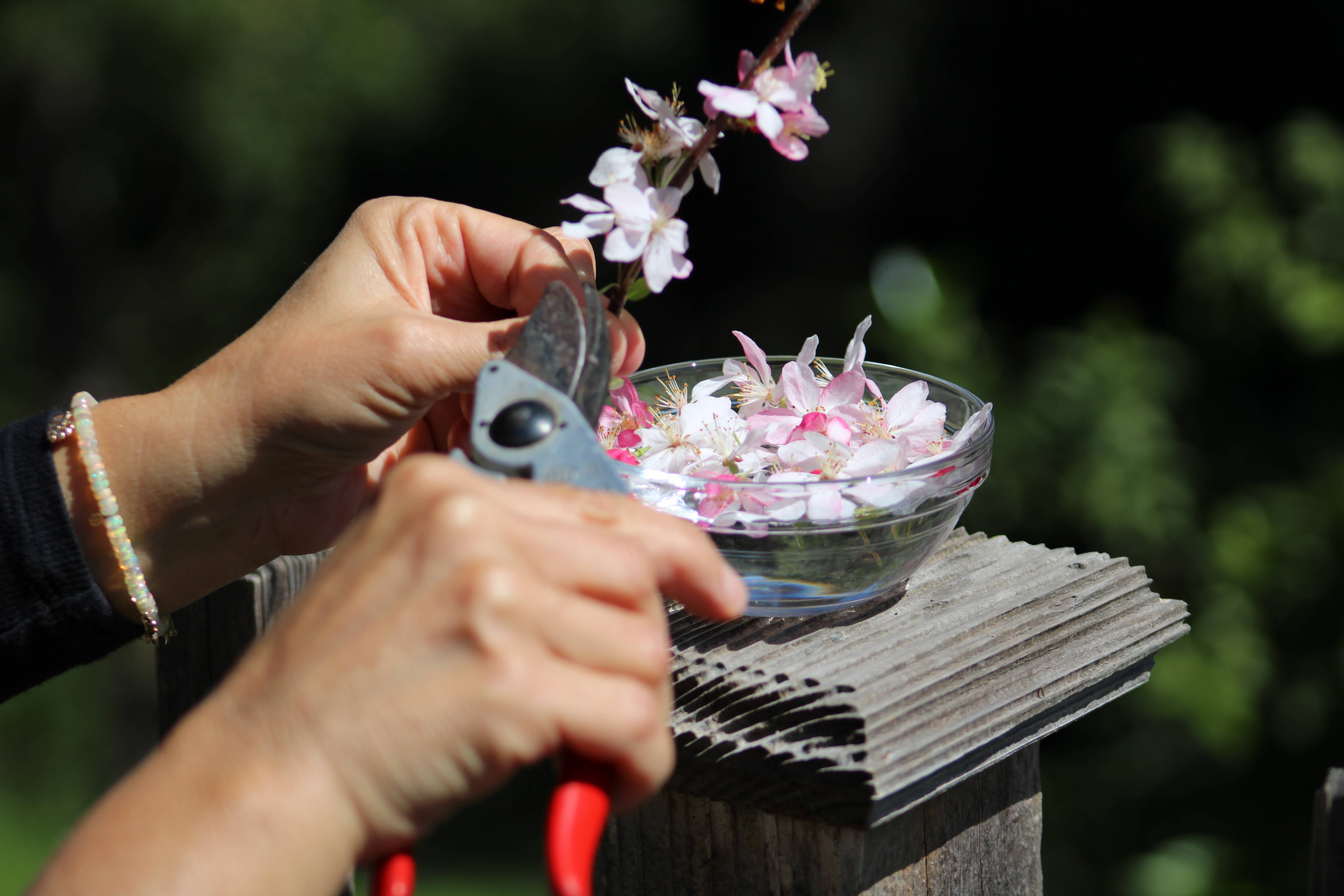 Schiffer Publishing - Wholesale Boek over lichaam, geest en ziel - De kunst van bloemtherapie17
