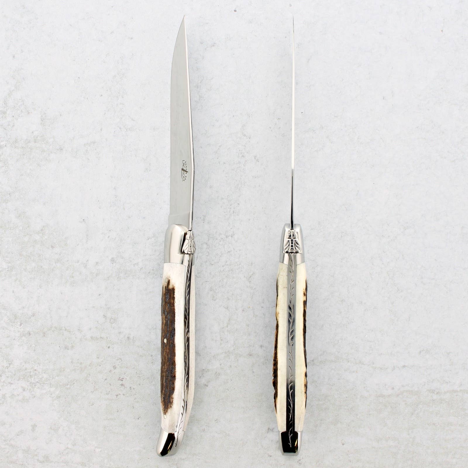 Laguiole Imports - Wholesale Table Knife - Forge de Laguiole Elk Stag Handle Steak Knives1