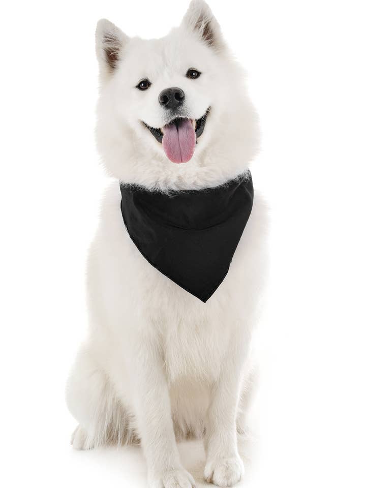 120 Pack Polyester Dog Bandana Plain - 20 Inches for wholesale by Bandanas Wholesale