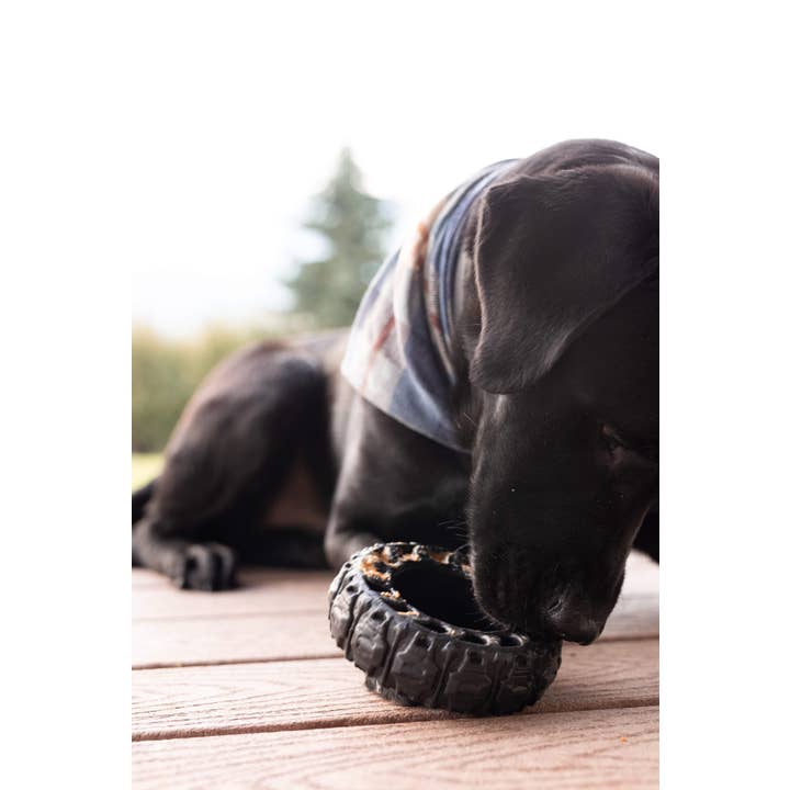 Spunky Pup - Vente Jouet à mâcher – chien - The Tire - Jouet en caoutchouc recyclé - FABRIQUÉ AUX ÉTATS-UNIS2