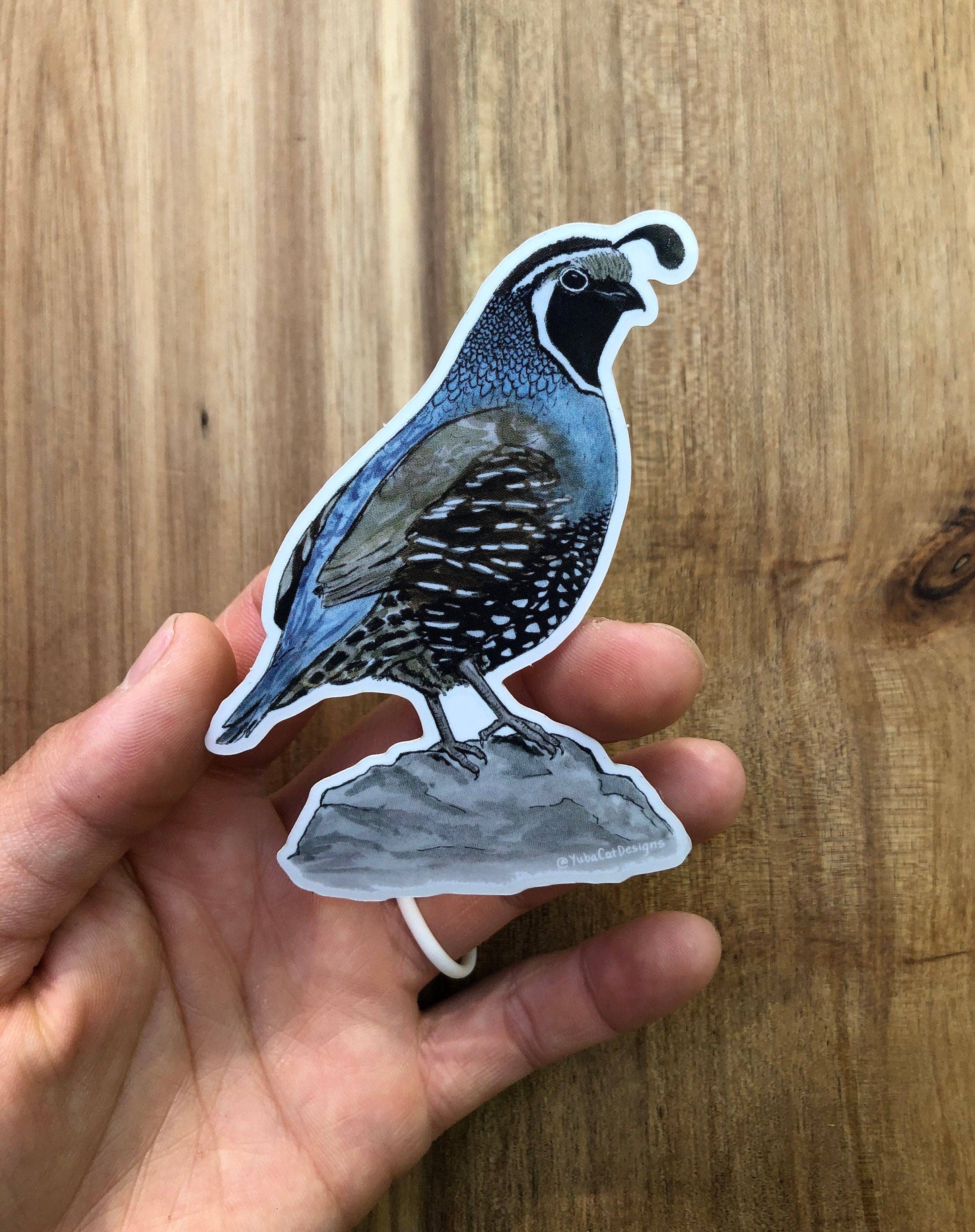 YubaCat Designs - Wholesale Sticker - California Quail sticker1